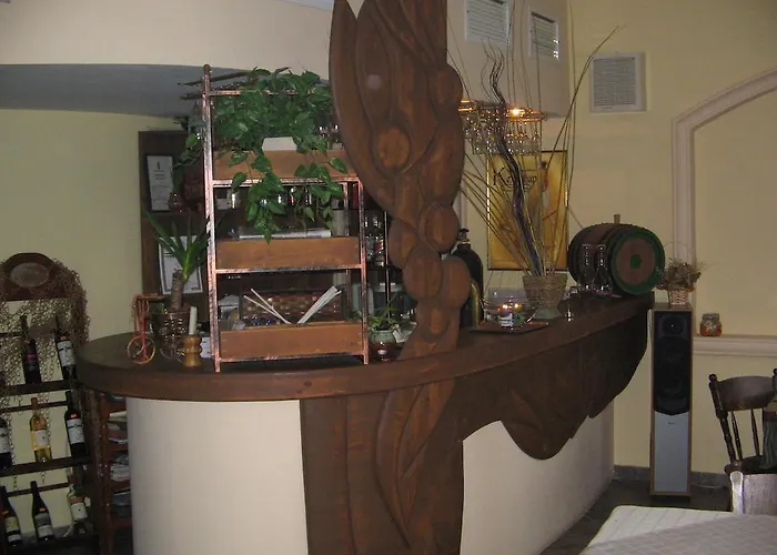 酒店 博瑞亚娜酒店 布尔加斯